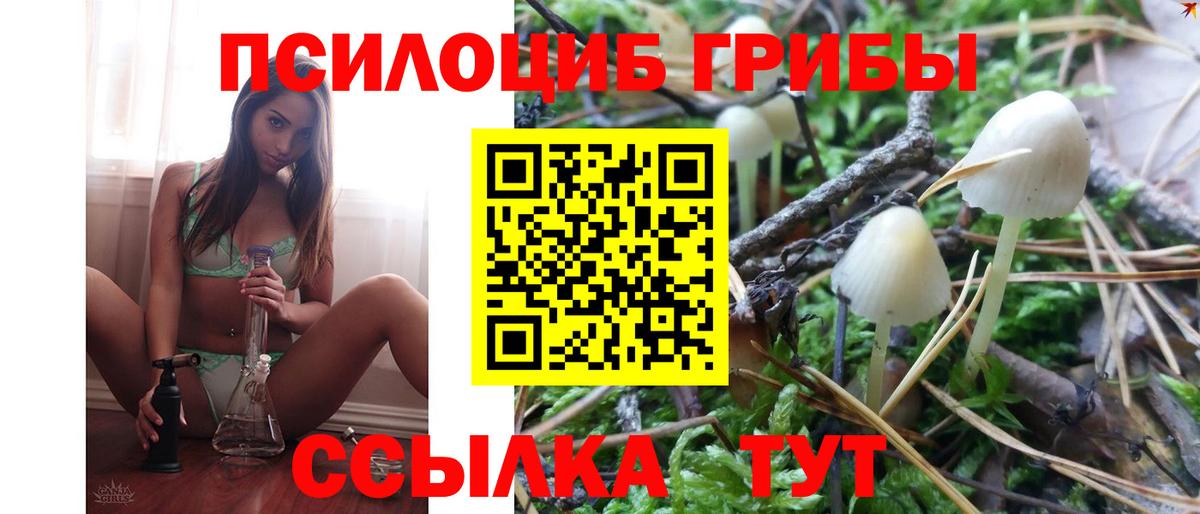 Ртищево  Псилоцибиновые грибы Cubensis  Вход с VPN 